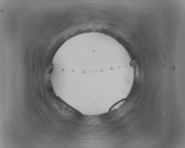 X0000076241492200610261902