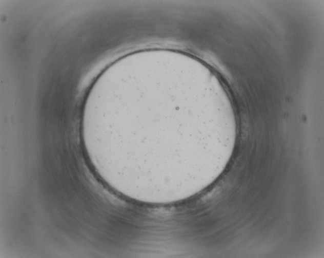 X0000076241504200610261902
