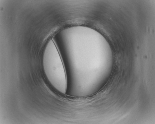 X0000076250020200609280959