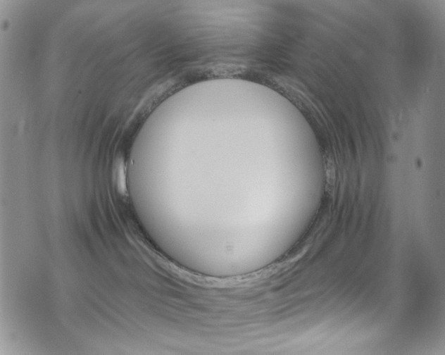 X0000076250046200609280958