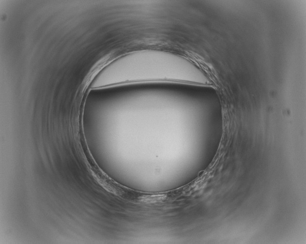 X0000076250051200609280957