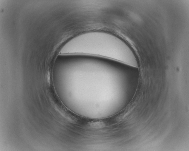 X0000076250067200609280958
