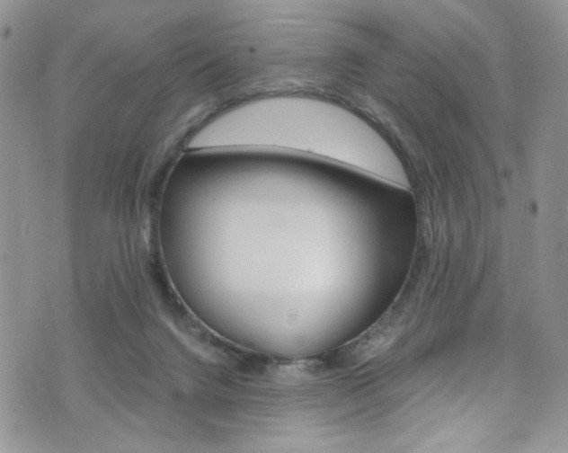 X0000076250072200609280958