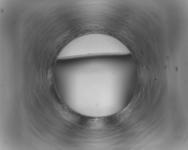 X0000076250082200609280958
