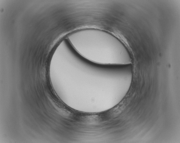 X0000076250108200609280957