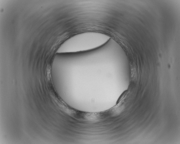 X0000076250142200609280957
