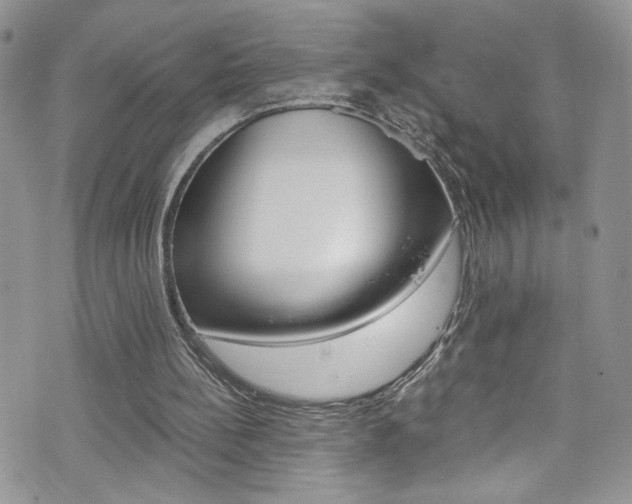 X0000076250148200609280956