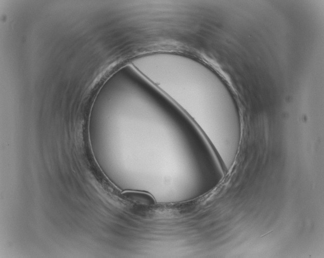 X0000076250154200609280956