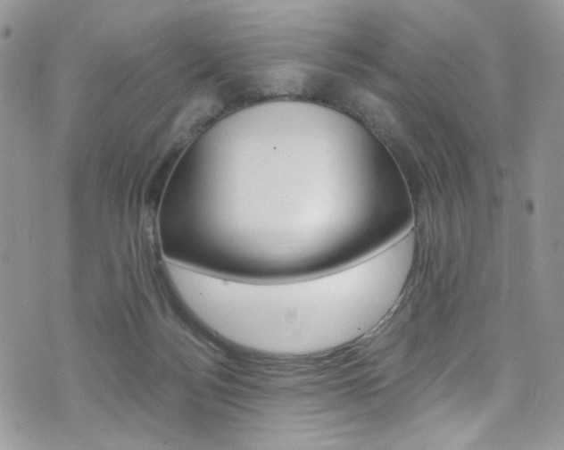 X0000076250172200609280956