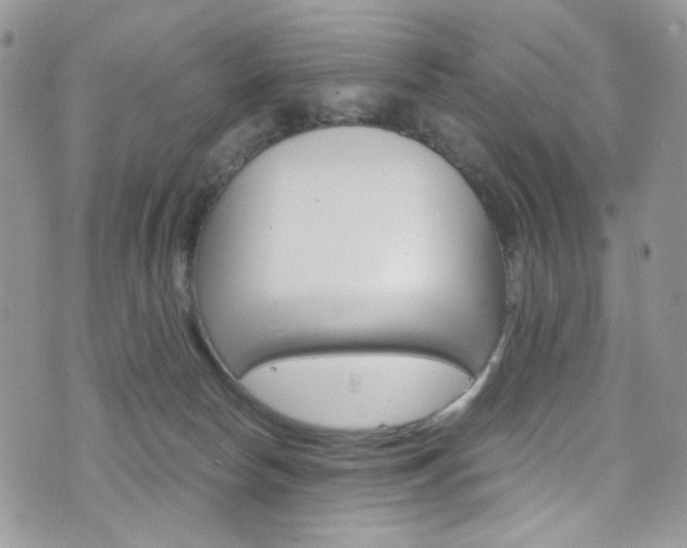 X0000076250178200609280956