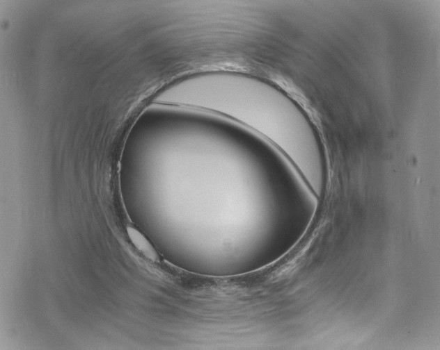 X0000076250201200609280956