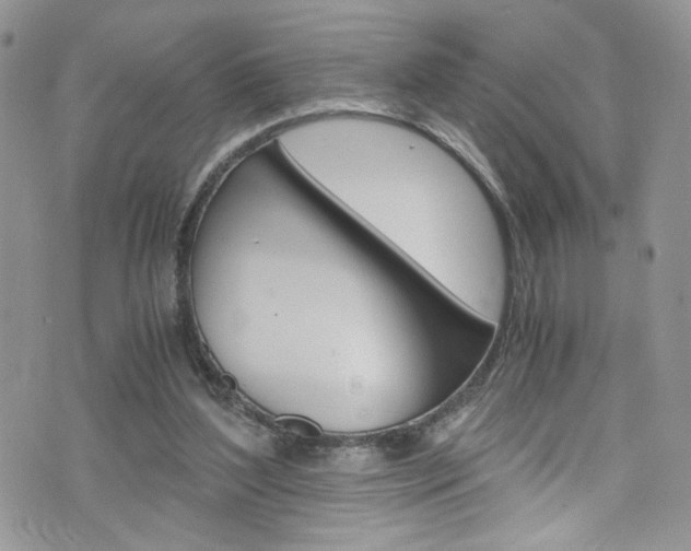 X0000076250204200609280956
