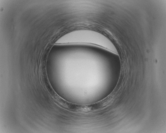 X0000076250217200609280955