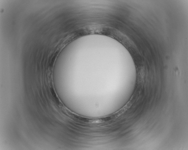 X0000076250218200609280955