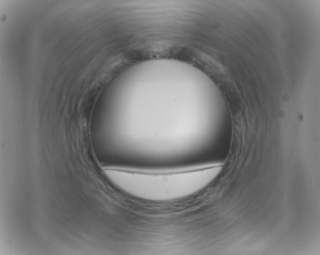X0000076250225200609280955