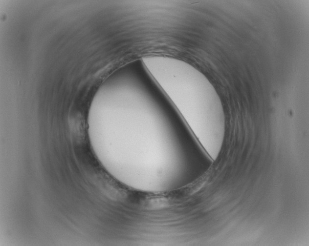 X0000076250228200609280955