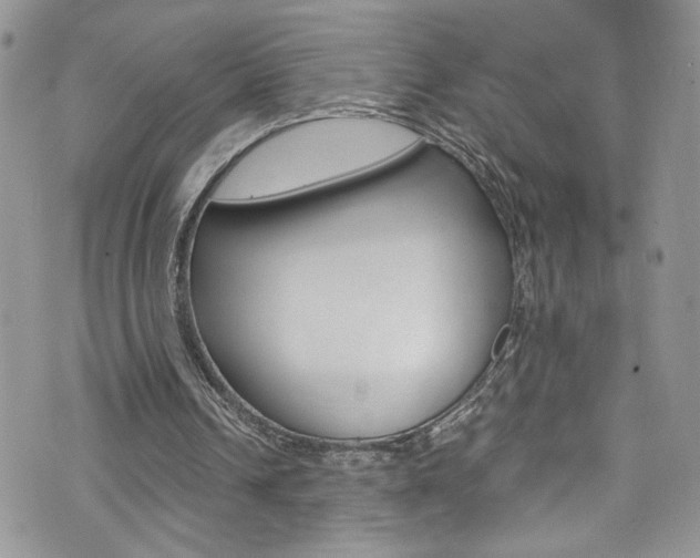 X0000076250242200609280954
