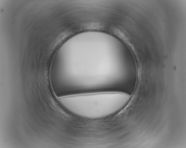 X0000076250249200609280954
