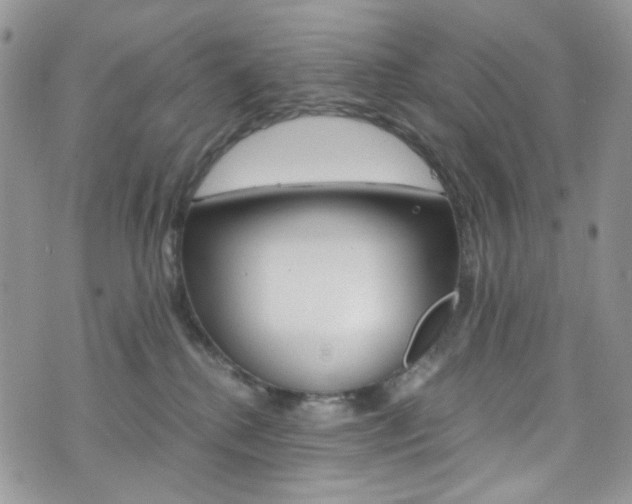 X0000076250280200609280955