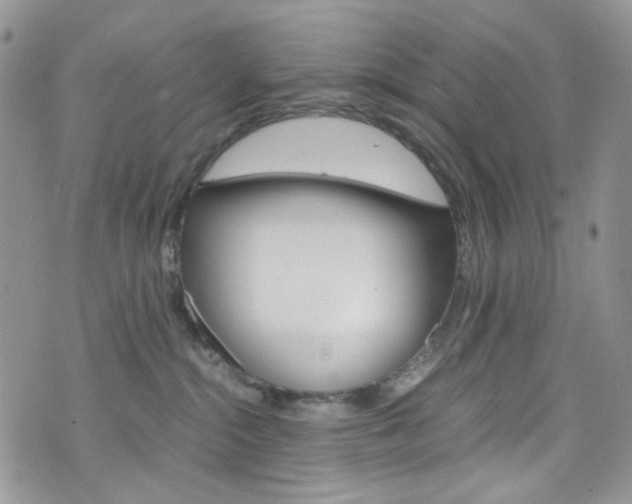 X0000076250284200609280955