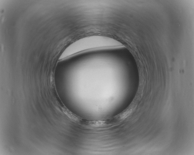 X0000076250288200609280955