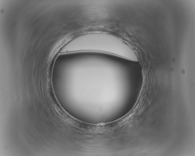 X0000076250293200609280954
