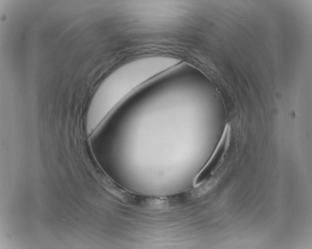X0000076250325200609280954