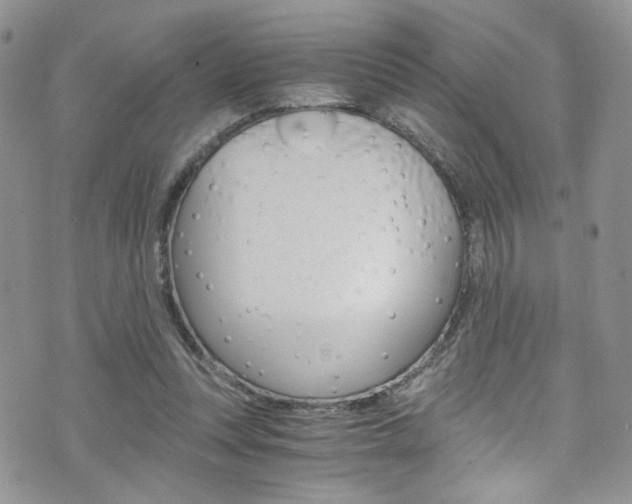 X0000076250351200609280953