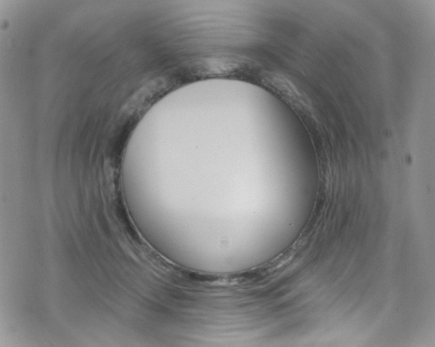 X0000076250366200609280953