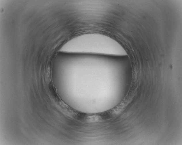 X0000076250376200609280953
