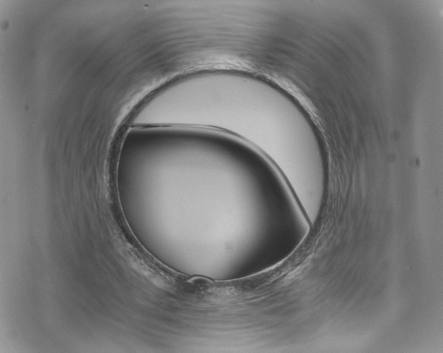 X0000076250391200609280953