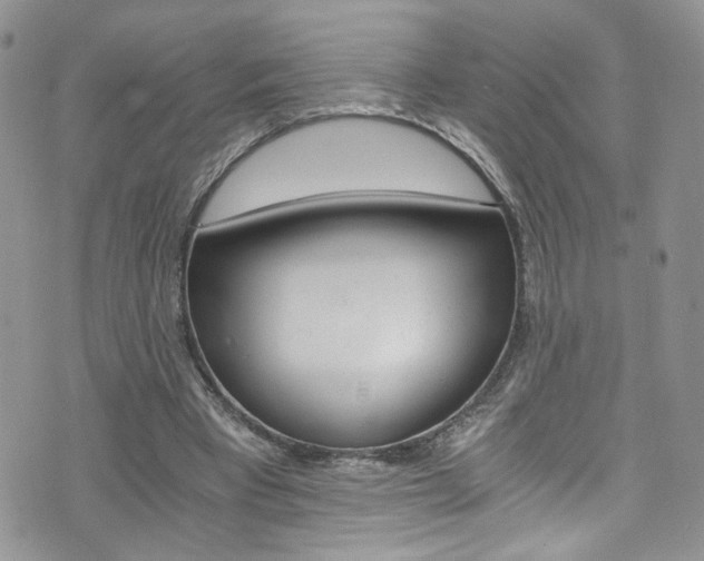 X0000076250393200609280953