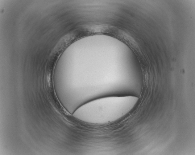 X0000076250406200609280952