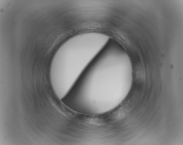 X0000076250408200609280952