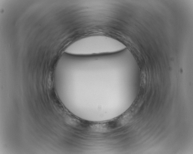 X0000076250422200609280952