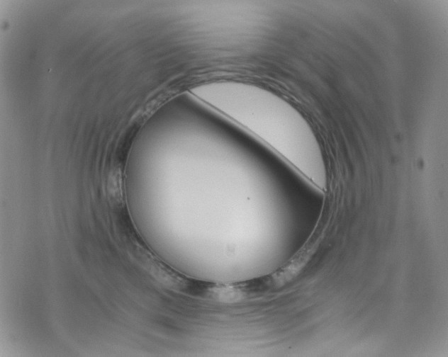 X0000076250425200609280952