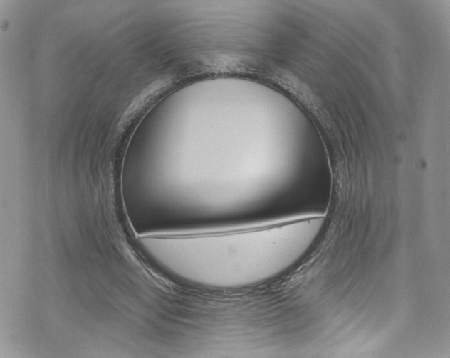 X0000076250442200609280951