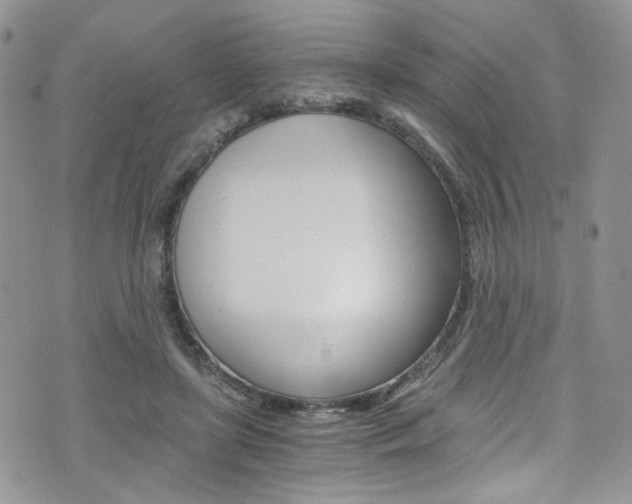 X0000076250451200609280951