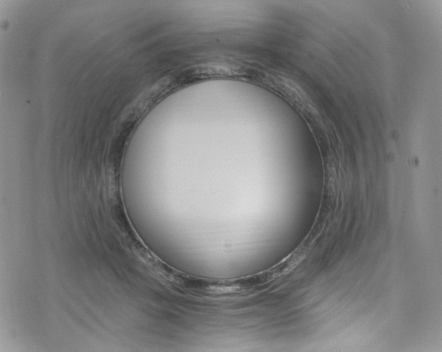X0000076250457200609280952