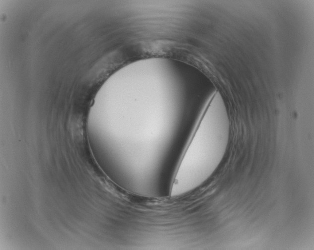 X0000076250466200609280952