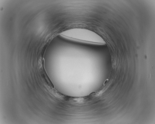 X0000076250478200609280952