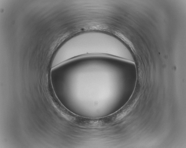 X0000076250493200609280951