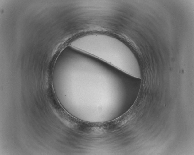 X0000076250496200609280951