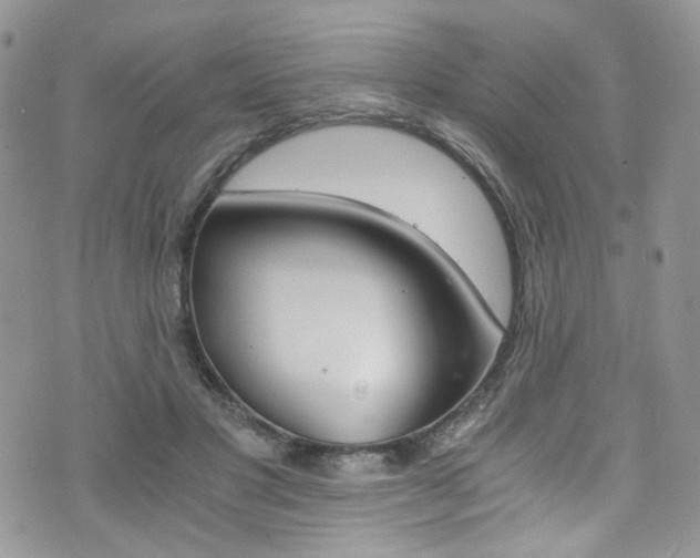 X0000076250501200609280951