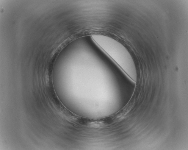 X0000076250508200609280951