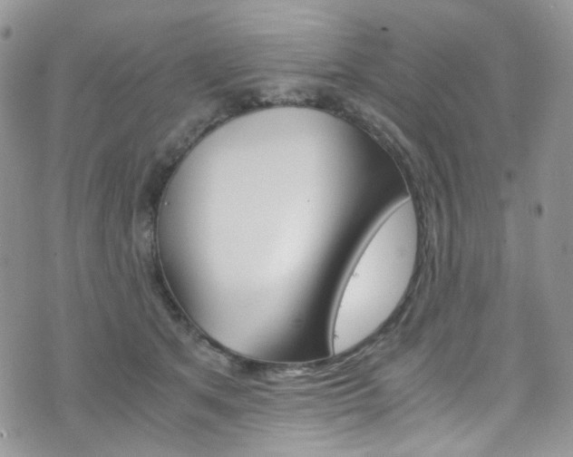 X0000076250513200609280951