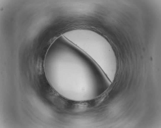 X0000076250525200609280950