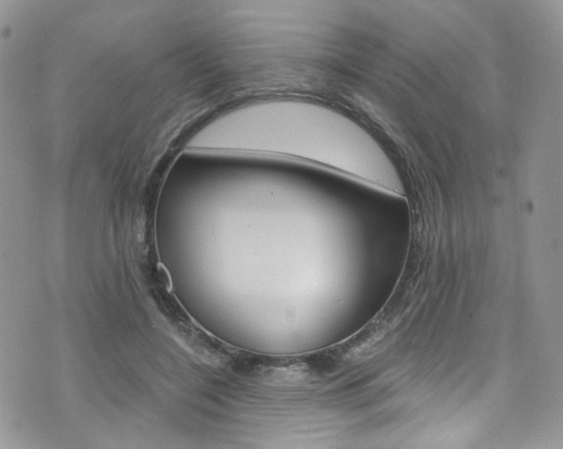 X0000076250548200609280950