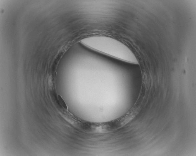 X0000076250564200609280950