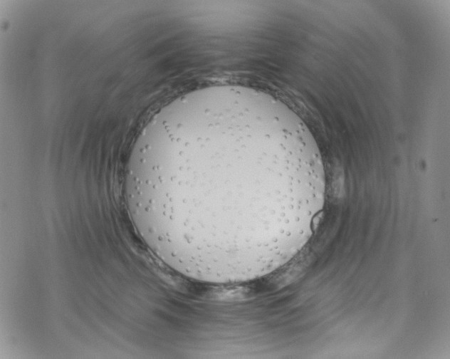 X0000076250569200609280950